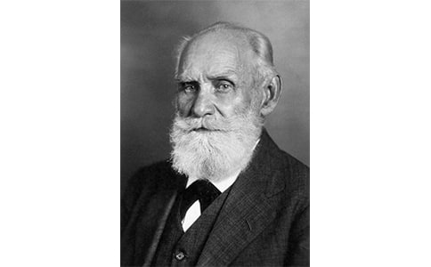 讀《巴甫洛夫很忙》有感