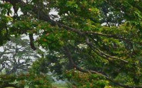 ���ݴ���ח����~�Z���x