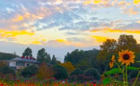 ������䷶��