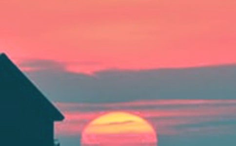 ������ԭҰԊ��