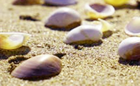 ���P�茑ؐ����Ԓ�}�Č������ģ����x21ƪ��