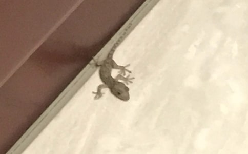 ��С�ڻ���β�͡��̰���ͨ��16ƪ��