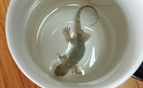 С�ڻ���β�ͽ̰�15ƪ