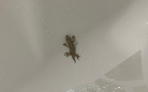 С�ڻ���β�̓�(y��u)�|(zh��)�̰�