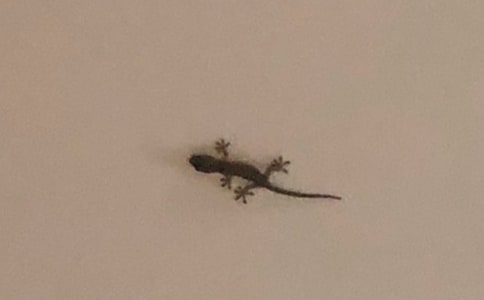 �ڻ��Ć�ʾ����15ƪ