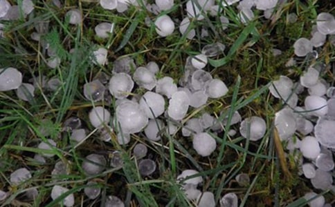 ��۵ı���Ԋ��