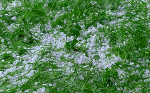 ����С�Wӛ����300��