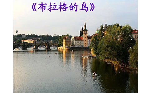 ����������B(ni��o)���x��з���