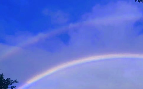 �ʺ�������꼉����