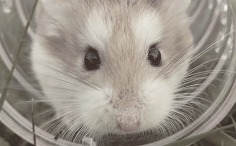 �ق}����x�����c������