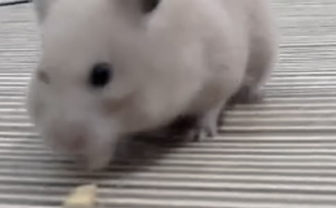 С�}��ϴ��ӛ������ӛ��ͨ��15ƪ��