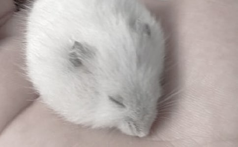 С�}(c��ng)������(ͨ��10ƪ)