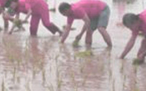 ����-�̌W�OӋ 