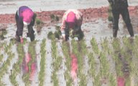 �����Ͱβ����꼉��ӛ300��