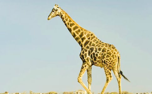 ���H�H�L�i¹���f�n��һ�Ȫ�