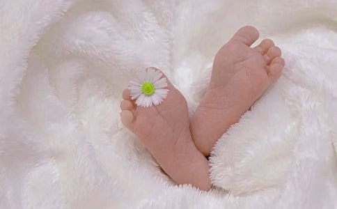 ��������������x���x���600��