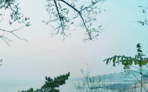 �P�ڡ����L�Єӡ��������Y