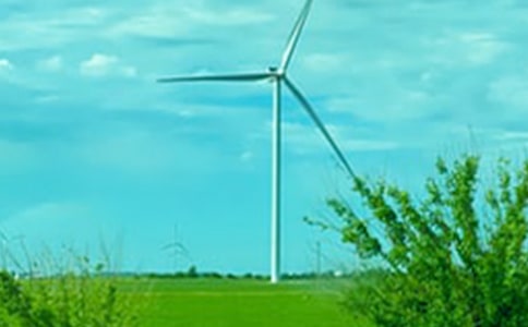 �ഺ�L�ɵ�����ɢ��