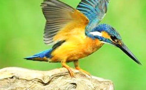 �����B���̌WƬ�༰��˼