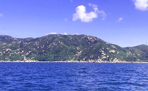 ���´󺣡��f�n�巶��