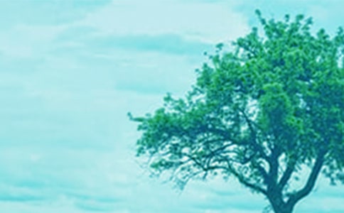 ���@��һ�ô��ɢ��