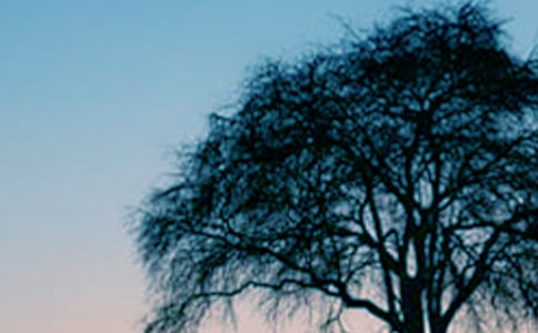 ��䎧�o�҂��Ć�ʾ����500��