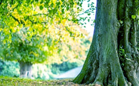 ���꼉�σԿƌW(xu��)������С�ݡ��f�n��