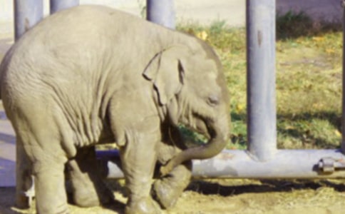 �����Ӻʹ��󡷵�һ�n�r�f�n��