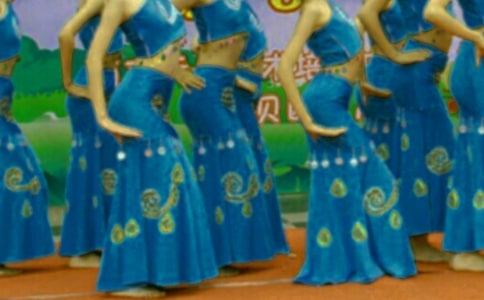 西雙版納傣族園導游詞