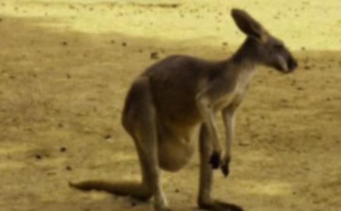 �����󋌋����̰���ͨ��10ƪ��