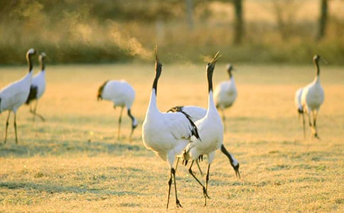 �������ĵ���Q���̌W��˼