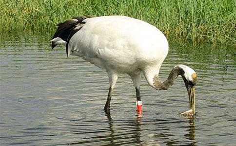 �������ĵ���Q���̰�15ƪ