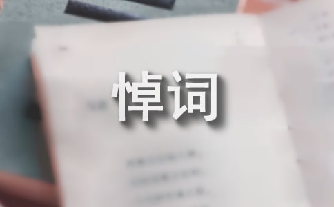 致刑偵大隊(duì)指導(dǎo)員的悼詞