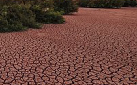 ������������xӖ������