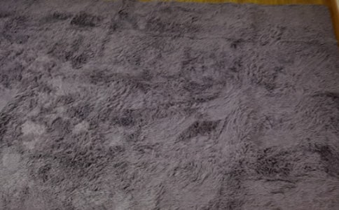 托班主題教案:地毯下的秘密