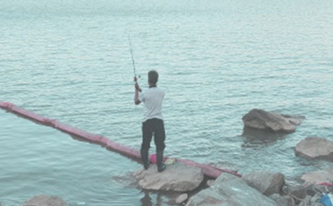 �x����~�Ć�ʾ���и�