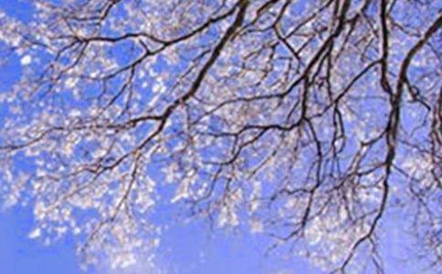 Ԋ������,�ڛ]��ѩ�Ķ�����(�MԊ)