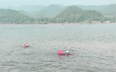 去冬泳的敘事作文