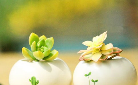 �����^����ӛ(���x15ƪ)