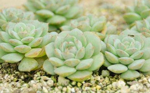 �P���¹�Ů���������c�c����