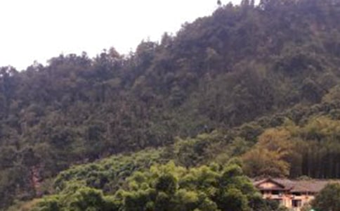 �����~������B��üɽ