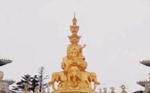 �������üɽ�����~