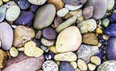 踩鵝卵石的日記