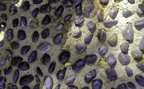 �Z��ʯ�x���