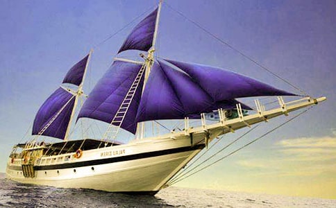 �������ۼ������g�̰�