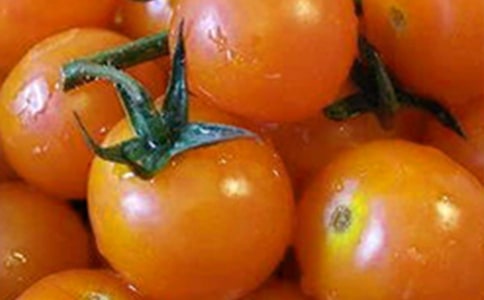 �n�ġ�����̫ꖡ�����̰�