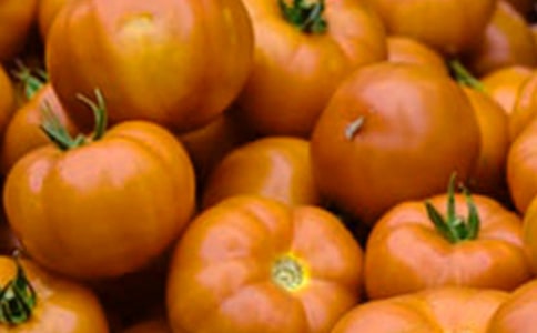 ����̫��n���f�n��