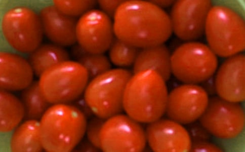 番茄太陽課后練習(xí)題