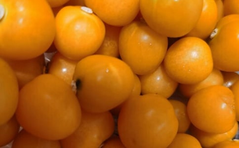 ����̫�С�W�x���