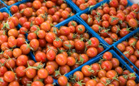 ����L����x���ҽ^���^�����Է��ѡ�